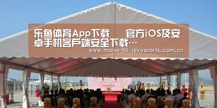 案例标题三