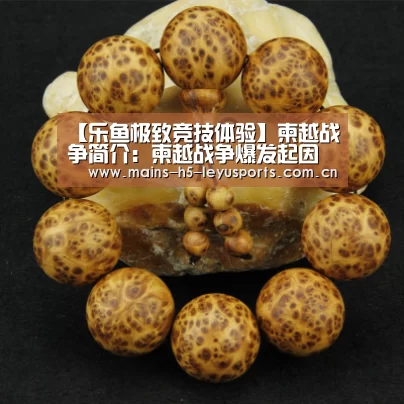 【乐鱼极致竞技体验】柬越战争简介：柬越战争爆发起因