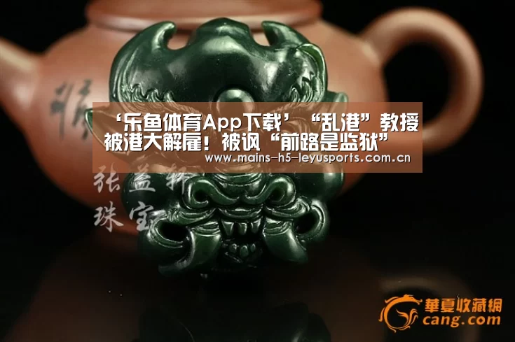 ‘乐鱼体育App下载’“乱港”教授被港大解雇！被讽“前路是监狱”