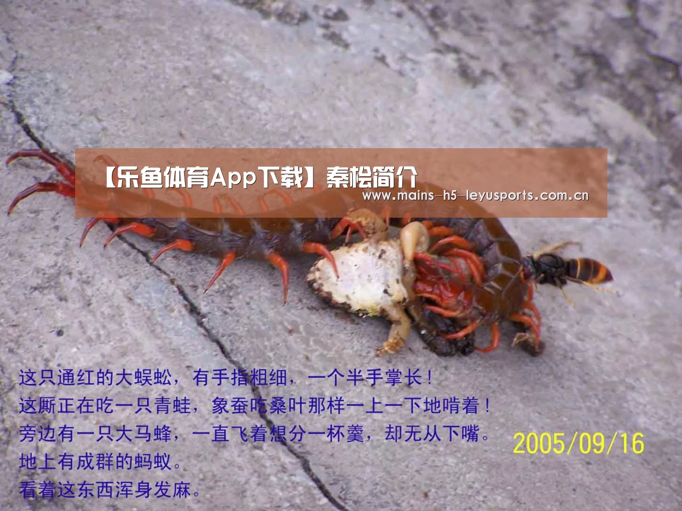 【乐鱼体育App下载】秦桧简介