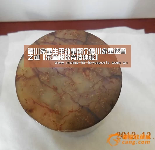 德川家重生平故事简介德川家重遗骨之谜【乐鱼极致竞技体验】(图2) 乐鱼极致竞技体验