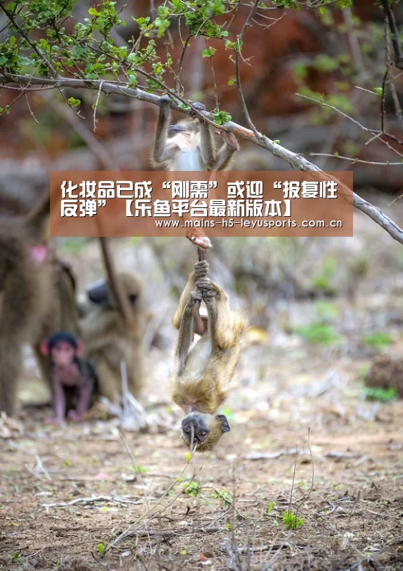化妆品已成“刚需”或迎“报复性反弹”【乐鱼平台最新版本】